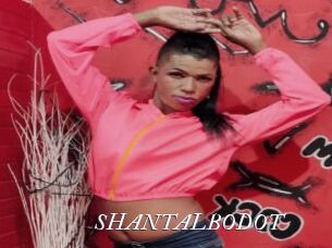 SHANTALBODOT