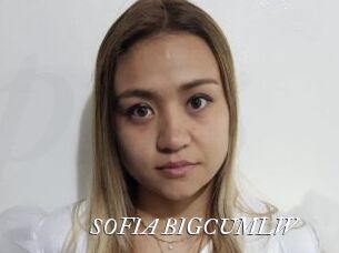 SOFIA_BIGCUMLW