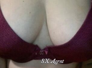 SX_Agent