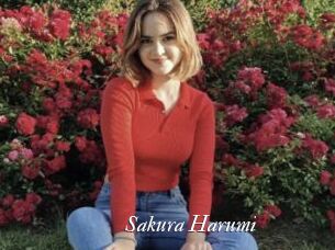 Sakura_Harumi