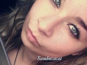 Sambucacat