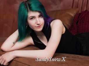 SandySnowX