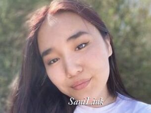SaniLink