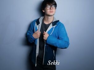 Sekki