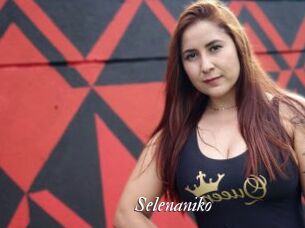 Selenaniko