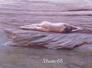 Shams66