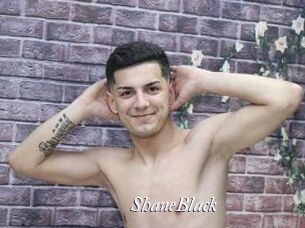 ShaneBlack