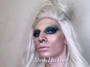 SheilaHotTrans