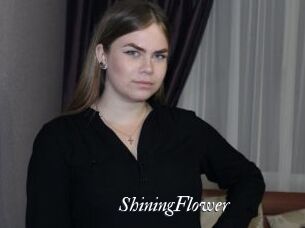 ShiningFlower Partouze