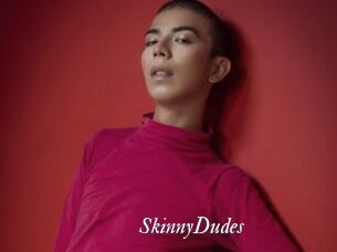 SkinnyDudes Partouze