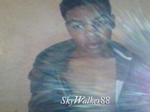 SkyWalker88