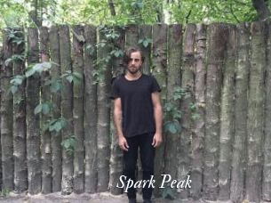 Spark_Peak Partouze