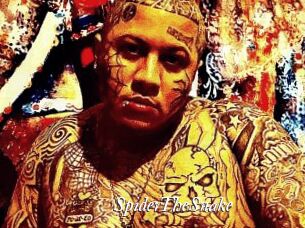 SpiderTheSnake