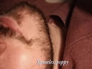 Spinelesspoppy