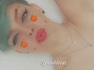 Sprinklecat