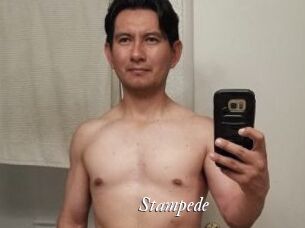 Stampede