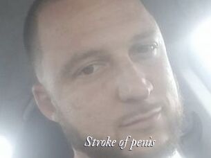 Stroke_of_penis