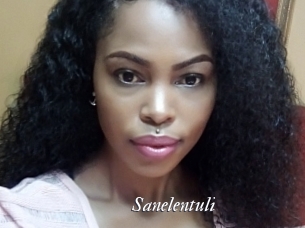 sanelentuli Partouze