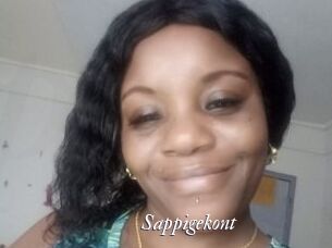 sappigekont Partouze
