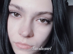 Saridunnel