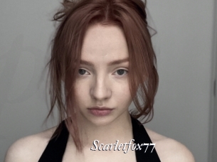 scarletfox77 Partouze