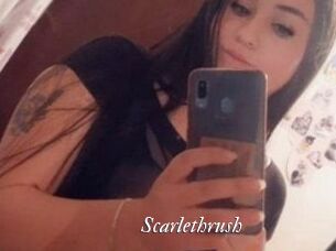 Scarlethrush