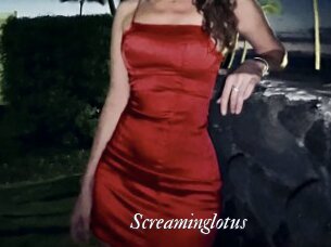 Screaminglotus