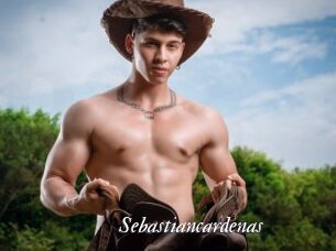Sebastiancardenas