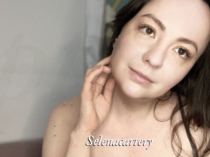 Selenacartery