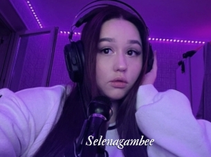 Selenagambee
