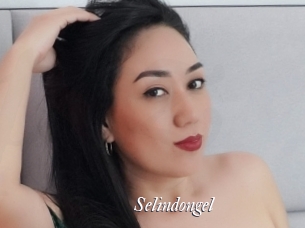 selindongel Partouze