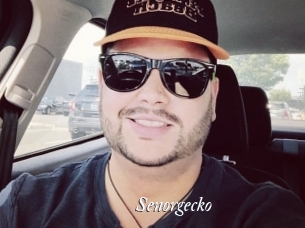 Senorgecko