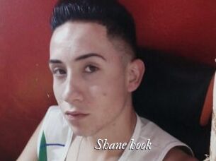 Shane_hook