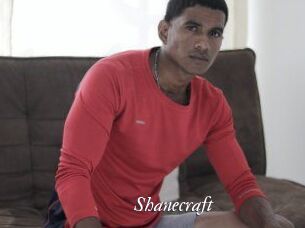 shanecraft Partouze