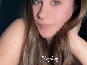 Shaybug