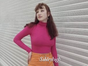 Sibleyhigh