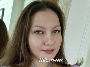 Silverbeech