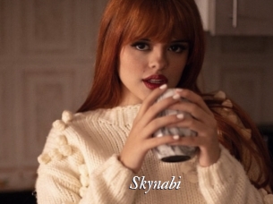 Skynabi