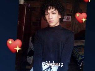 Slahs_19