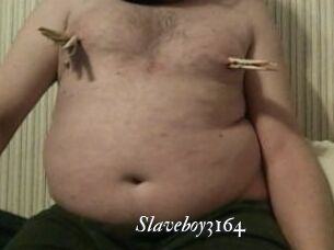 Slaveboy3164
