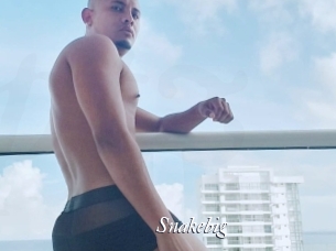 snakebig Partouze