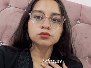 Sofiware
