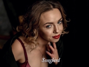 songbird Partouze