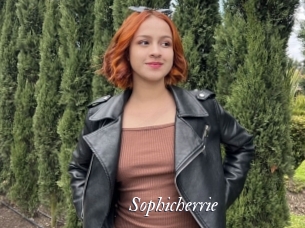Sophicherrie