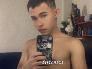 Stiven101
