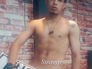 Stivengrey