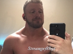 Streamguy8895
