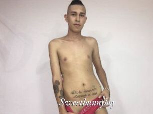 Sweet_bunny_boy