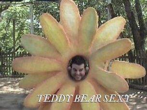 TEDDY_BEAR_SEXY
