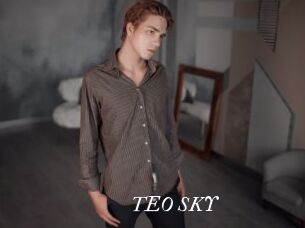TEO_SKY